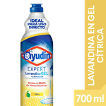 Lavandina AYUDIN Expert Gel Citrica 700ml