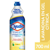 Lavandina AYUDIN Expert Gel Citrica 700ml