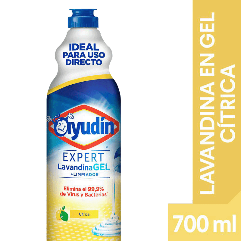 Lavandina AYUDIN Expert Gel Citrica 700ml