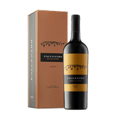 Vino ENCUENTRO Malbec Estuche 1 Unidad 750c
