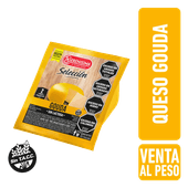 Queso LS Gouda Sin Lactosa Porción Vacio 340g